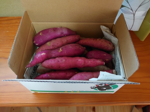 熟成サツマイモ(紅はるか)2.5kg箱入