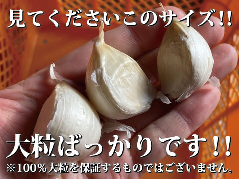 【300円OFFクーポン】令和４年産 ２キロ 青森県産にんにく 最高級品種 ホワイト６片 家庭用玉