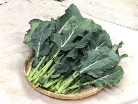 葉ブロッコリー/カリフラワー〈約1400g〉【ウサギなどのペット用】