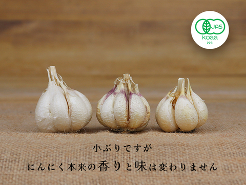 【宮崎県産】 令和６年度産新有機にんにく王（無選別１㎏入)