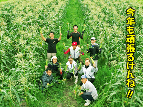 晴れの国岡山県産！メロンより甘い！朝採れフルーツコーン（とうもろこし）10本【6月下旬から発送予定、なくなり次第終了】