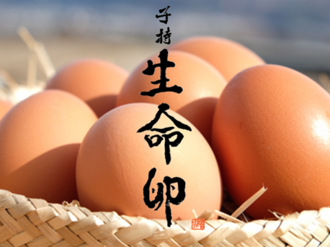 【平飼い 有精卵】自然養鶏「子持生命卵 kinari」10個入パック×２