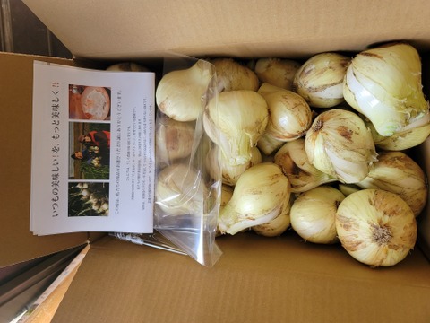 【家庭用】元気いっぱいの淡路島 新玉ねぎ！（10ｋｇ）【ひょうご安心ブランド認証】シェアや飲食店さん向け　訳あり