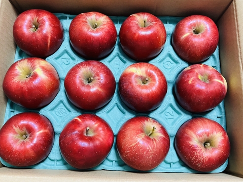 発送中🍎紅玉 3キロ箱【有名パティシエ鎧塚さんが紅玉でタルトタタンのレシピ&動画公開！！】 加工もおすすめ6玉〜15玉サイズ 商品ID42918 長野県 信州 安曇野 リンゴ