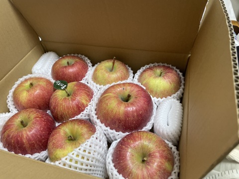 【冬ギフト】 🍎レビュー数1700件突破！！《家庭用》青森完熟葉とらずふじ８〜１２玉(約３kg)🍎ID119812