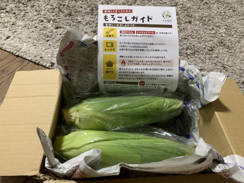 まるでフルーツ！果汁あふれる人気とうもろこし ドルチェドリーム5本