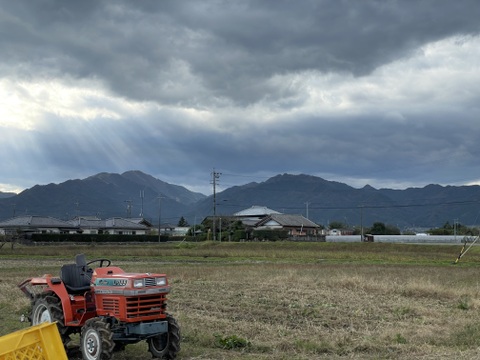 【10kg】三重県松阪市産さつま芋【土付き紅はるか】
S～Lサイズ混合