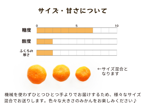 とれたてしもつみかん10kg｜和歌山県海南市下津町から産地直送でお届け
