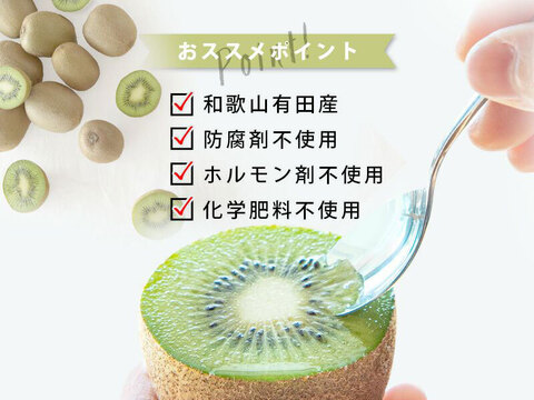 家庭用（訳あり品）キウイ［レインボーレッド］ミックスサイズ1kg 370-1rw