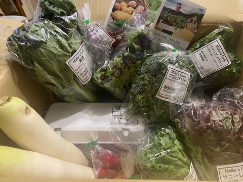 【冬ギフト】🌱✨安心島の旬野菜と平飼いたまご30個セット🥚🥬🥕【有機JAS認証取得】🌱Organic Vegetables&30eggs set