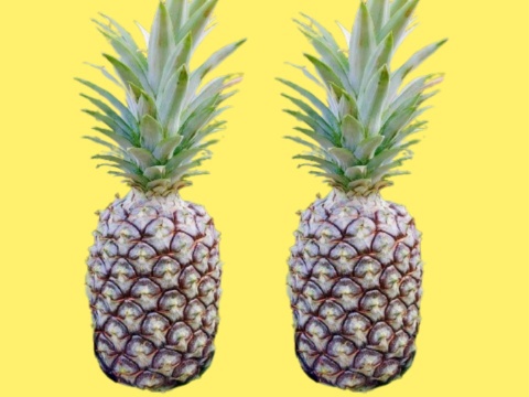 【甘酸ジューシー】定番のパイン『ジュワリー』約4.0kg