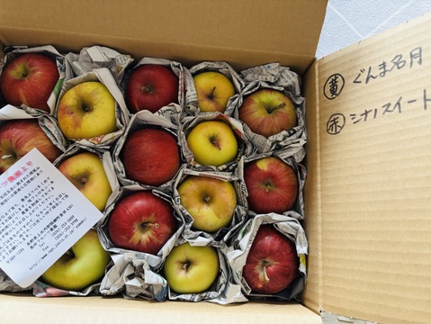 季節のりんご ミニ小玉ちゃん 約16玉（約2.5㎏）
シナノゴールド、サンふじなどをミックス　
２種類～の味を食べ比べ
ミニサイズのかわいいりんごをバラづめでお届け
丸かじりでどうぞ　信州長野県産