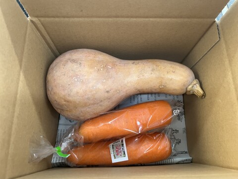 ☆有機JAS認証☆つるくびかぼちゃとにんじんのセット