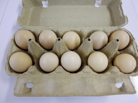 【平飼い】【有精卵】うこっけいの卵 20個 自然卵養鶏