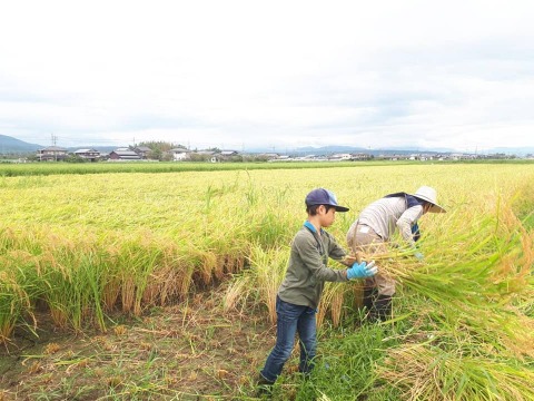 なたね油かす施肥！好食味のコシヒカリ玄米10㎏