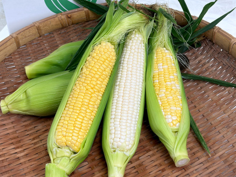 【ホワイトショコラ入り】とうもろこし食べ比べ 4.5kg｜今だけセット