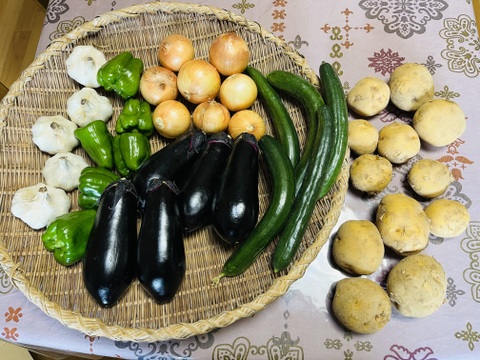 旬の野菜セット5品〜[4.5キロ入り]「果菜類は当日収穫当日出荷」横浜市内産