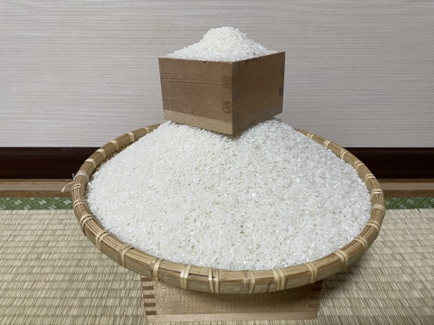 令和７年魚沼産コシヒカリ白米10kg