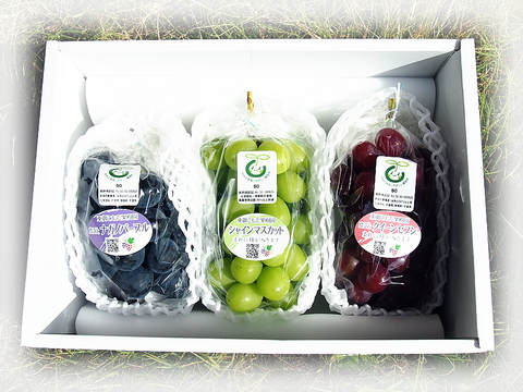 皮ごと美味しいぶどう3色3房ギフト・クイーンルージュ500gバージョン
(380g以上×3房合計1.3kg)※信州の環境にやさしい農産物（長野県認証）食べ比べ