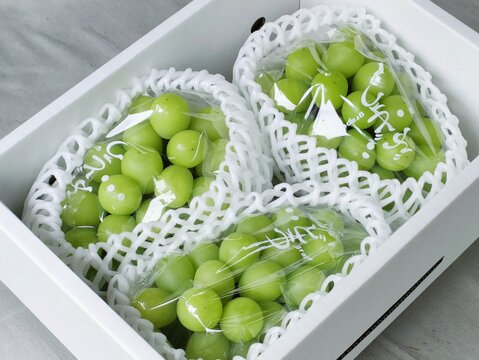 ご家庭用・たっぷり1.8kg】完熟シャインマスカットをお得に！：山形県