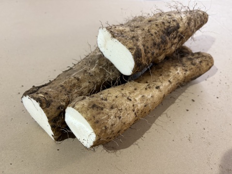 【規格外】【お得用】粘りが強い大和芋 2kg ご家庭用