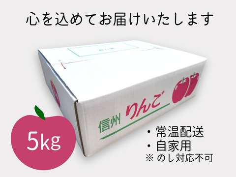 黄金色が食べ頃！ シナノゴールド 5kg(3L～Sサイズ) 自家用(訳あり品) 信州安曇野産りんご  長野県オリジナル品種 人気商品