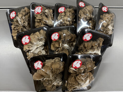 群馬で爆売れ！！！苦み少ない「びっくり舞茸」ご家庭用140gUPx10Ｐ