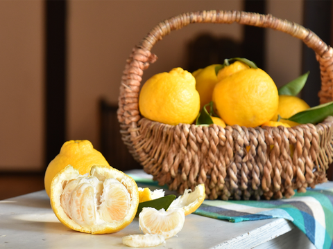 酸味が少なくまろやかな甘み　三宝柑【家庭用(訳あり)】[2.5kg]　321-2h