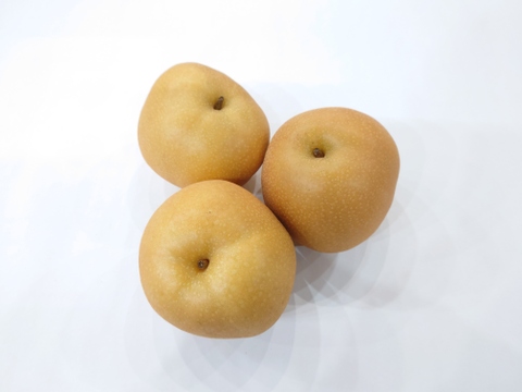 【訳あり】ある時限定！果汁溢れる豊水梨  約5kg 【大きめサイズ】