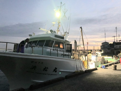 【期間限定】旨い！秋田の春ハタハタ３㎏(ブリコ、白子は入ってません)