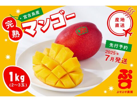 【夏ギフト】ぷすぷすマンゴー1キロ（2～3玉）