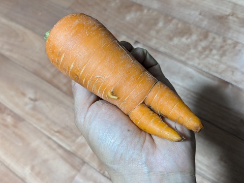 【未来をつくる笑み野菜】🥕🥕訳あり品🥕🥕⚠️皮は剥かないで下さい❗化学農薬・化学肥料不使用 にんじん4kg