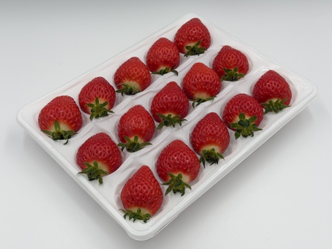 【予約販売】完熟べにたま　12-15粒