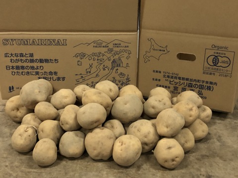 ビタミンC豊富な　有機栽培ジャガイモ　北あかり！（10kg）