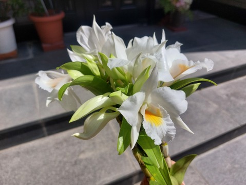 【母の日プチギフト】フォーミディブルのかわいい花束