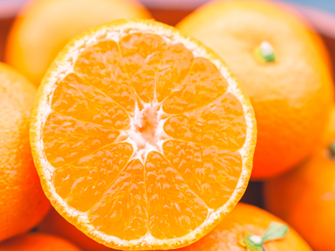 ■予約商品12月発送■濃厚な甘みとコク 【EHIME UWAJIMA】南柑20号 Aセレクション（家庭用）10kg