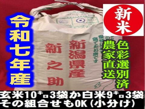 ※白米クラフト米袋※　　　大粒で　粒感がありしっかりとした食感　冷めても固くなりにくい新米　新潟県のお米のトップブランド　新之助（新潟県認証銘柄）　白米９kg × 3個★農家直送★色彩選別済