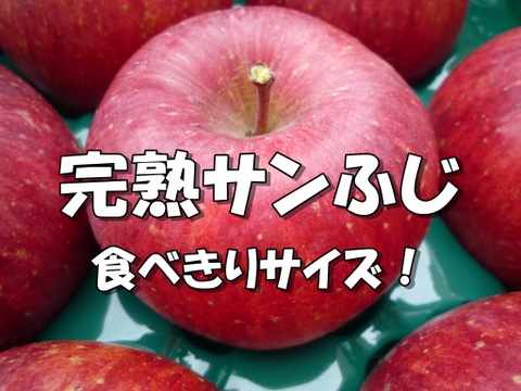 超ミニりんご ♪サンふじ 信州りんご