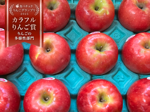 【発送中🍎】ピンクレディ®︎ 家庭用B品 5キロ箱使用 長野県 信州 安曇野 リンゴ 幻 幻のリンゴ 予約 希少 旬 小キズあり 中玉〜小玉 商品ID31409 ピンクレディー