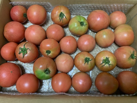 優しい甘みと旨みの桃太郎80サイズ箱