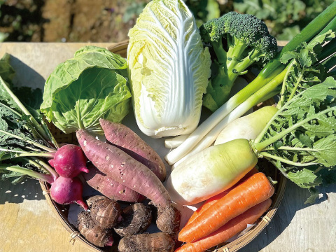 冬野菜Lセット9品目前後（農薬・化学肥料不使用）
