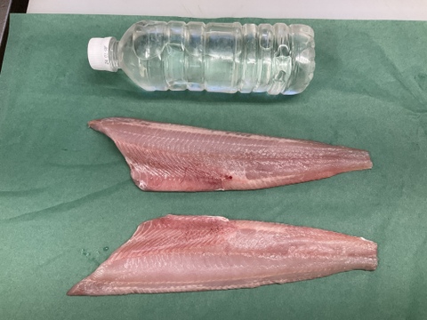 【刺身用】根ホッケ/特大/原体500~600g/3枚おろし/フィレ2枚【冷凍】