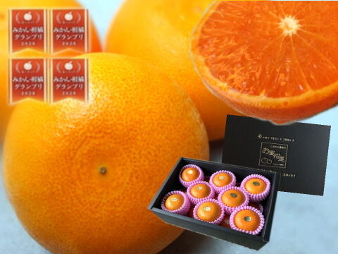 🏆みかん柑橘グランプリ2026最高金賞含む最多４部門受賞の木熟せとか！大感動！樹上完熟させた濃厚な甘みの大トロせとか！とろける甘さと上品な味わい！「木熟せとか」厳選プレミアム　約２．８ｋｇ【402】