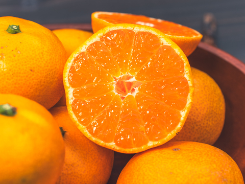 ■訳あり■傷あり不揃いの旨さ主義【EHIME UWAJIMA】とろける食感の絶品早生みかん！Bセレクション2.5kg