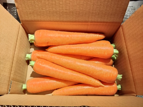 《とりあえず生で！》彩誉ニンジン 1.5kg