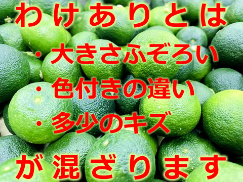 消毒無し！！すだち【わけあり】1kg 三重県伊勢志摩産