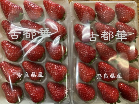 家庭用 古都華 ２箱（4パック）訳あり　セット　【母の日ギフト】奈良県　橋本農園　ことか　270g×4パック　いちご　苺