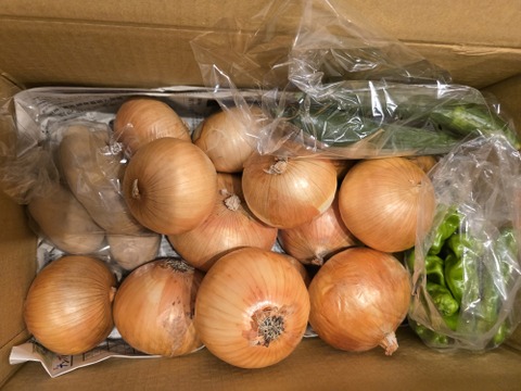 大好評，地層が違う淡路島、大玉、新玉ねぎ、七宝早生(風袋込み3キロ)