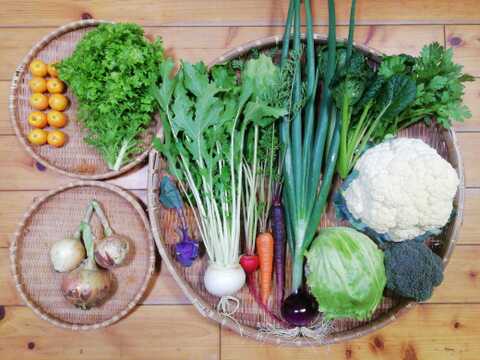 【農薬化学肥料不使用】カラマンシー入り野菜セット【８種類以上の野菜】【金曜日発送】【熨斗(のし)対応可】【８０サイズ箱】