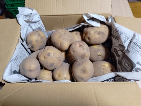 じゃがいも10㎏（キタアカリ）【有機JAS認証】＜沖縄・離島不可＞